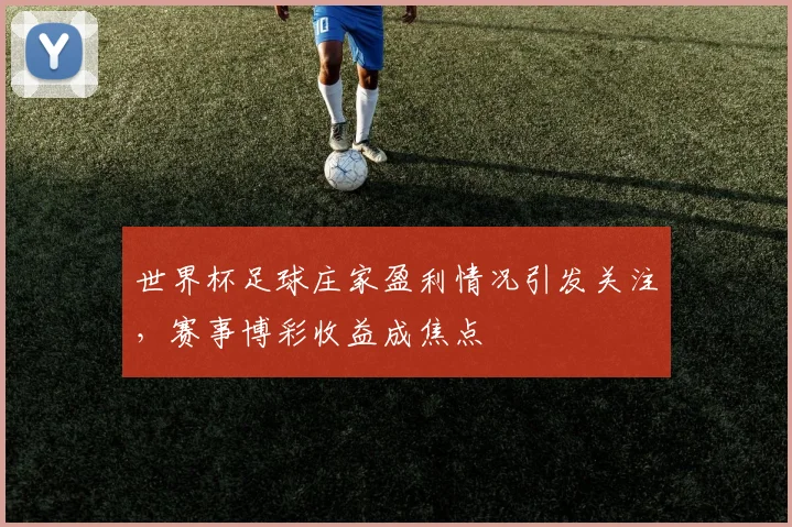 世界杯足球庄家盈利情况引发关注，赛事博彩收益成焦点