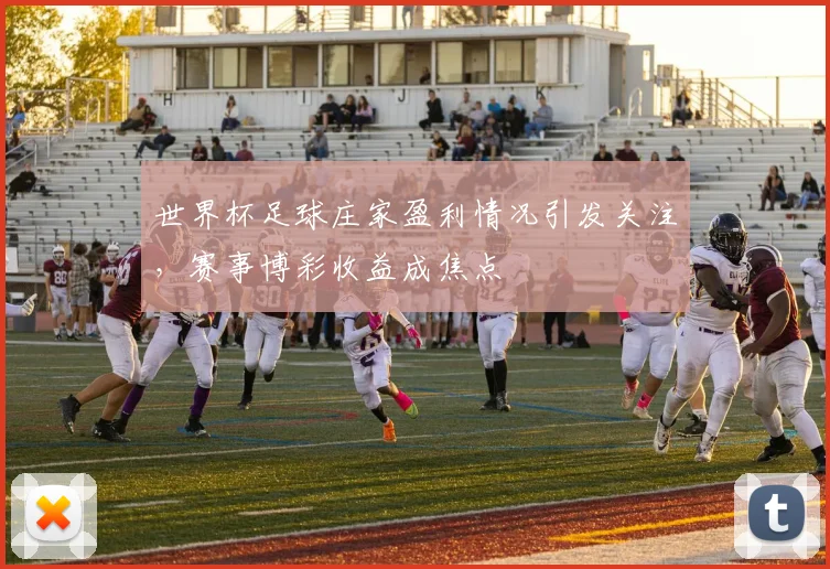 世界杯足球庄家盈利情况引发关注,赛事博彩收益成焦点