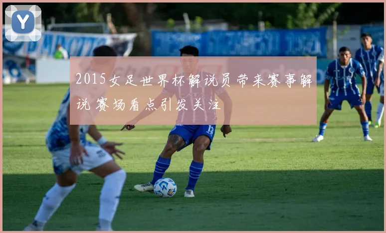2015女足世界杯解说员带来赛事解说 赛场看点引发关注